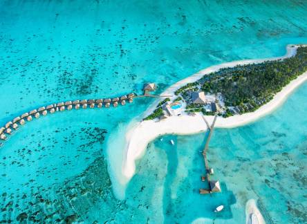 Отель Cocoon Maldives