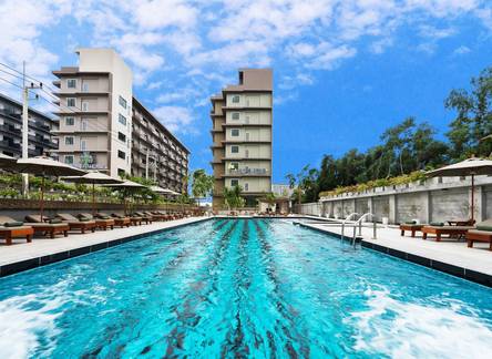 Отель Olive Tree Hotel