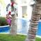 Отель Nickelodeon Hotels & Resorts Punta Cana
