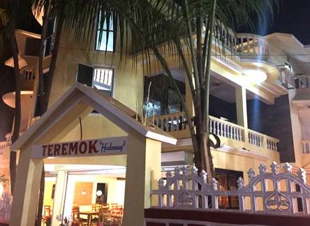 Отель Hotel Teremok