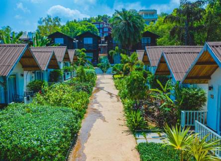 Отель White woods Resort & Spa