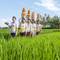 Отель Wyndham Tamansari Jivva Resort Bali
