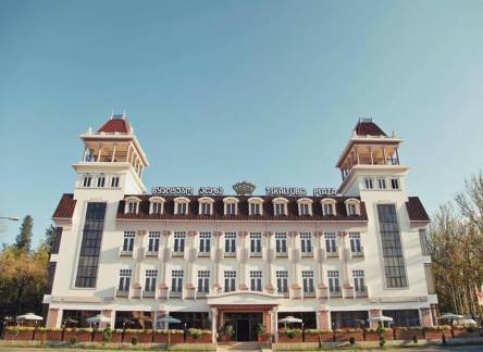 Отель Tskaltubo Plaza Resort & Spa