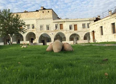 Отель Jacobs Cave Suites