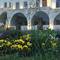 Отель Jacobs Cave Suites