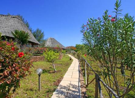 Отель Hotel Club Dongwe