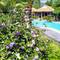 Отель WildLand Resort