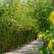 Отель Camia Resort & Spa