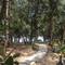 Отель Sol An Bang Beach Resort & Spa