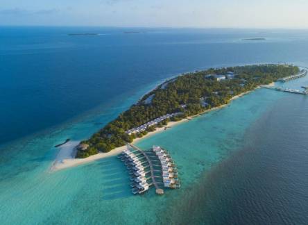 Отель Dhigali Maldives