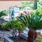 Отель Apart Hotel Blumarin