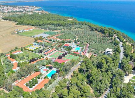 Отель Ellin Camp Skouras