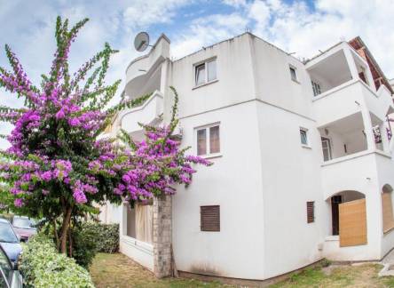 Отель Guest House Violet