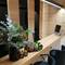 Отель Metropol Ceccarini Suite, Riccione