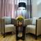 Отель Crystal Hotel & Spa