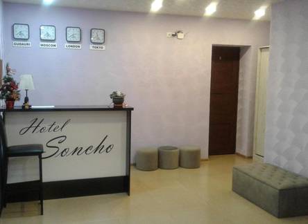 Отель Hotel Soncho Gudauri