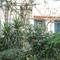 Отель Apartments Villa Contessa