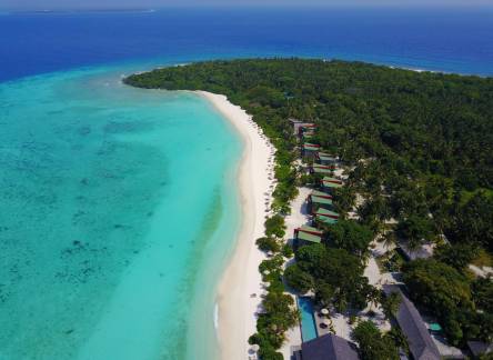 Отель The Barefoot Eco Hotel