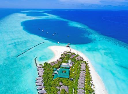 Отель Dhigufaru Island Resort