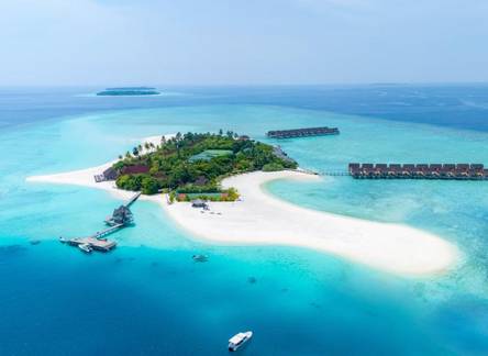 Отель Dhigufaru Island Resort