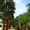 Отель The Ksar Djerba Charming Hotel & SPA