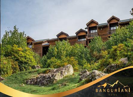 Отель Hotel Banguriani