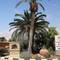 Отель Helios Bay Hotel and Suites