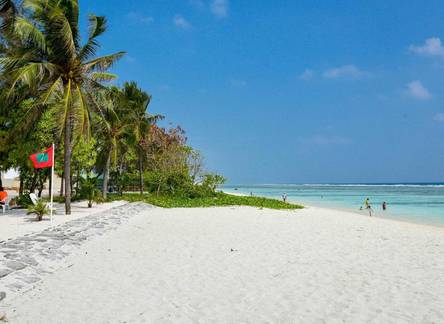 Отель Coconut Tree Hulhuvilla Beach