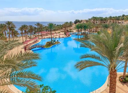 Отель Grand Rotana Resort & Spa