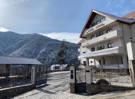Отель Natali Hotel