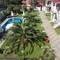 Отель Guest House Nia
