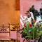 Отель Riad Le Bel Oranger