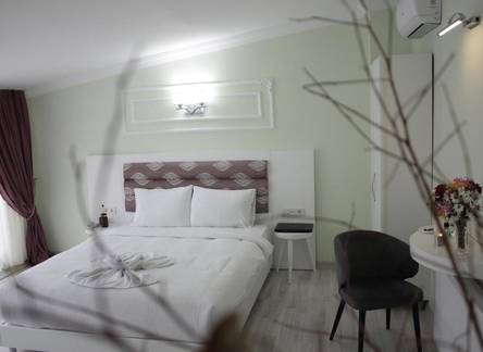 Отель The Wolf Hotel