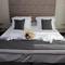 Отель Anka Premium Hotel