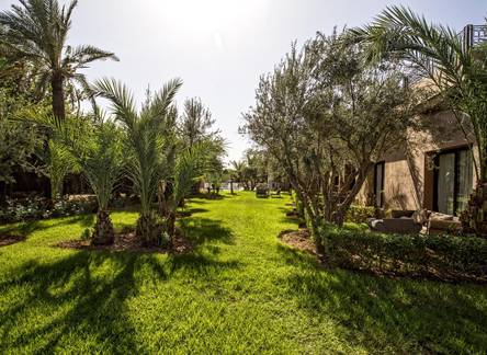 Отель Palais Jena Hotel & Spa