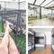 Отель Hub Lisbon Patio Hostel