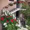 Отель Apartments Balabusic
