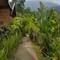 Отель Sang Giri - Mountain Tent Resort