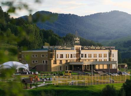 Отель Altai Palace