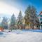 Отель AuRoom Bakuriani Resort