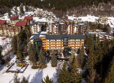 Отель Bakuriani Inn
