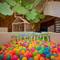Отель Pamookkoo Resort