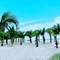 Отель Milana Beach Resort & Spa