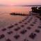Отель Reges A Luxury Collection Resort & Spa