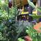 Отель Ruan Mai San Ngam Resort