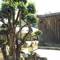 Отель Airport Phuket Garden Resort