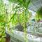 Отель The Beach Cha Am Guest House