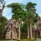 Отель M Resort Phu Quoc