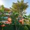Отель Allegro Hoi An-Little Luxury Hotel & Spa