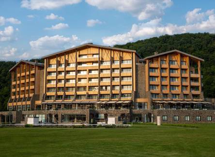 Отель Chenot Palace Health Wellness Hotel